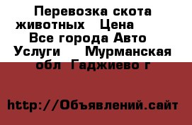 Перевозка скота животных › Цена ­ 39 - Все города Авто » Услуги   . Мурманская обл.,Гаджиево г.